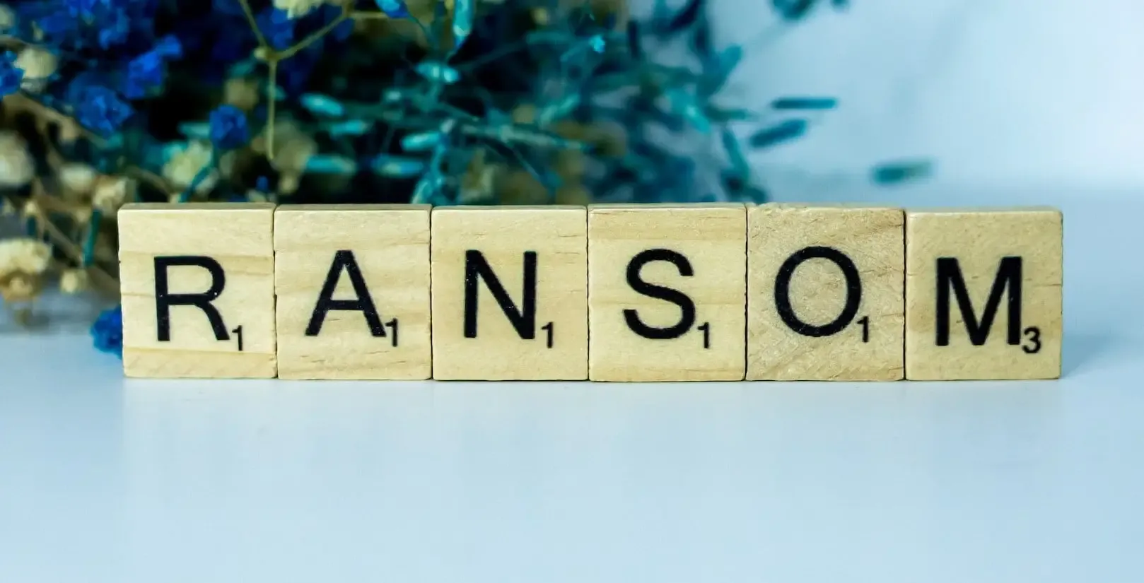 Ransom DDoS RDoS