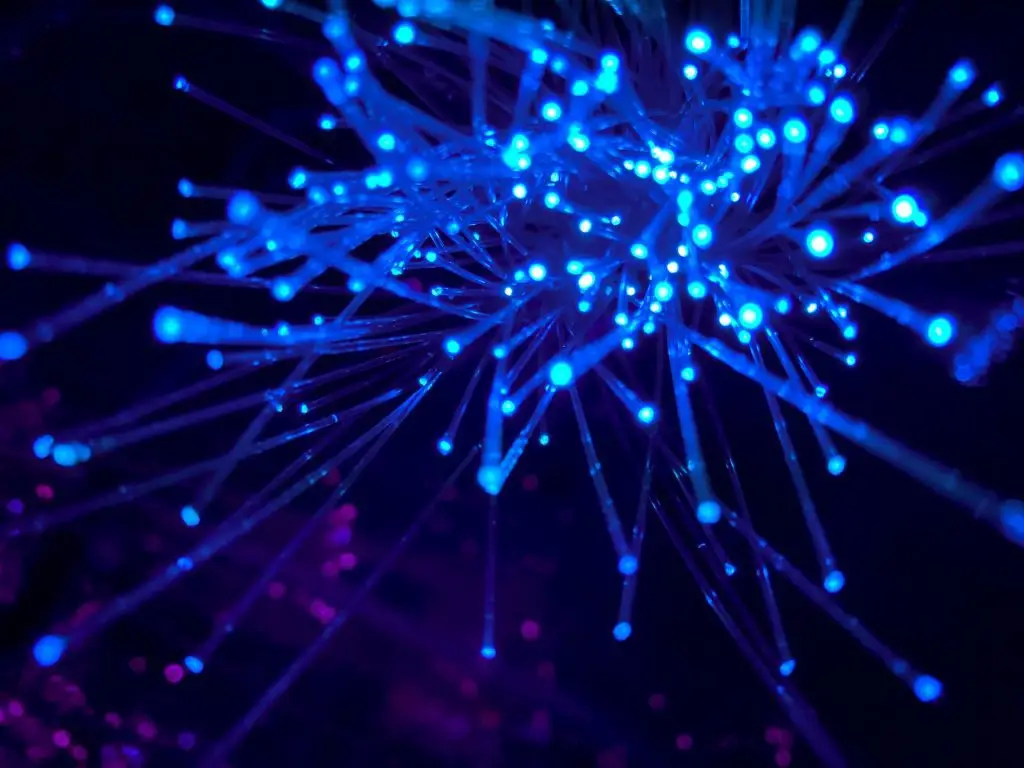 How Much Does Optic-Fiber Internet Cost